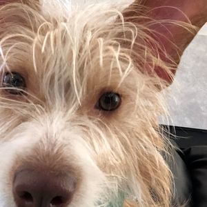 Meet your Posher, Nena